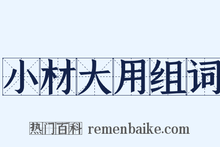 小材大用组词是什么意思的图片
